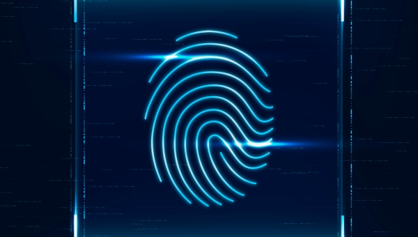 Vénaszkenner, mint innovatív fizetési lehetőség