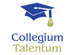 Egy sikeres program a külhoni magyar értelmiség erősítéséért – A Collegium Talentum öt éve
