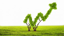 Zöldkötvények kibocsátásának egyes kérdései, a környezeti célokkal összefüggésben